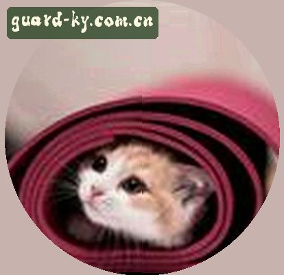 刘姐